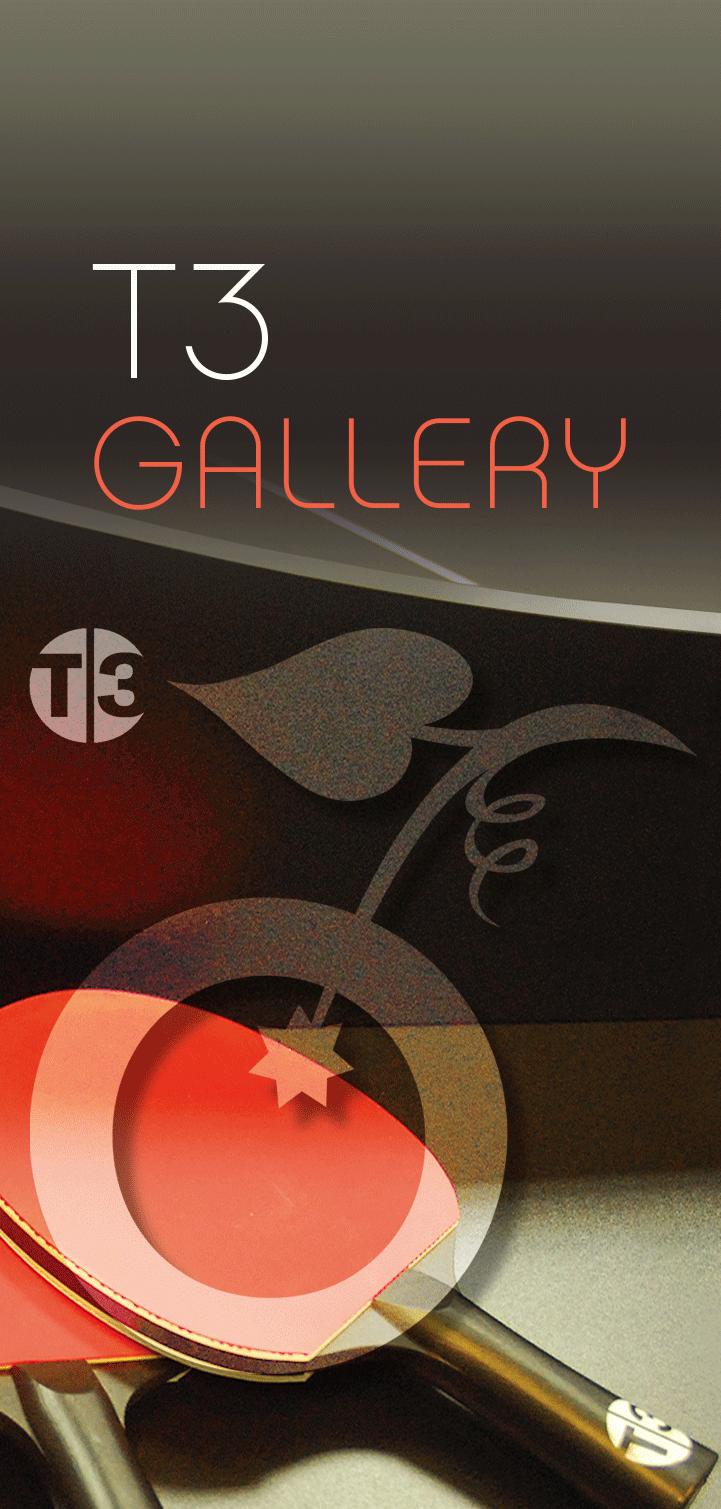 T3 Gallery